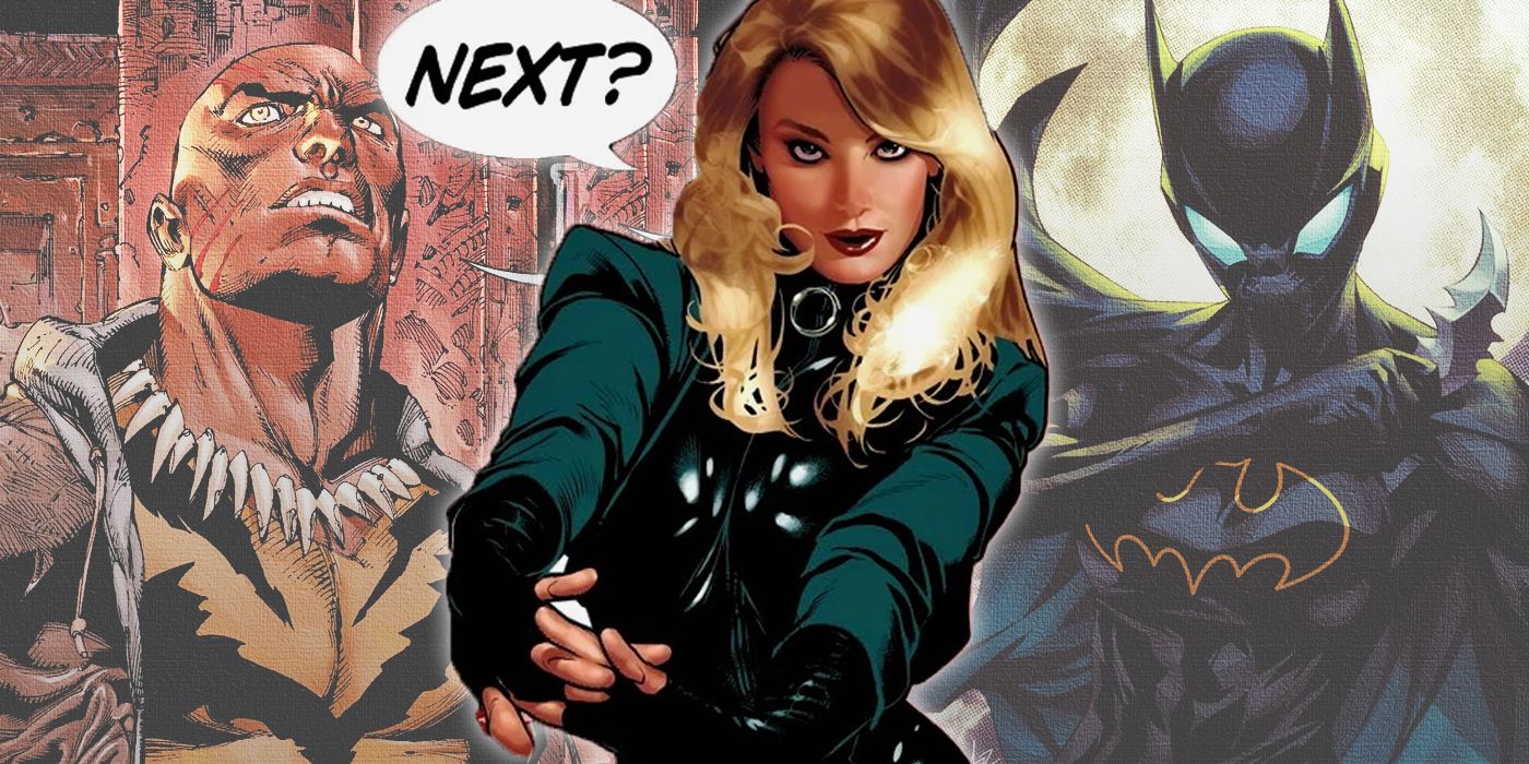 10 Best DC Fighters Who Could Challenge Black Canary