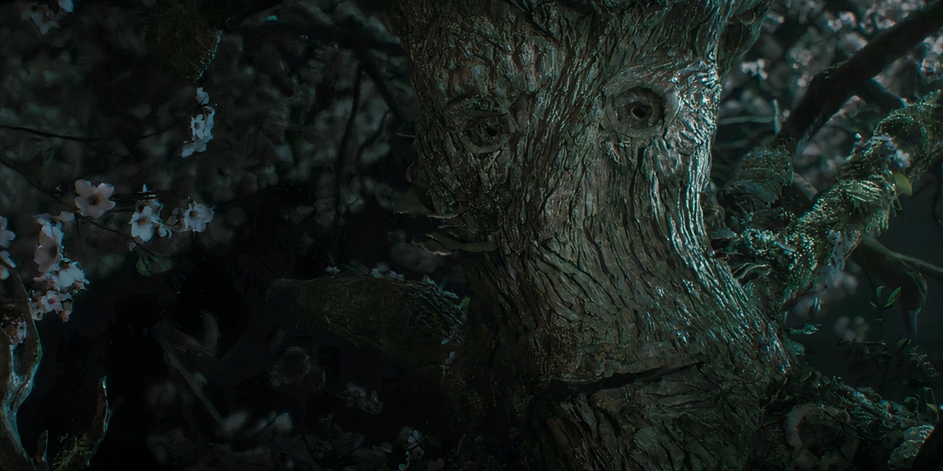 Closeup of an Ent in a dark forest in The Rings of Power