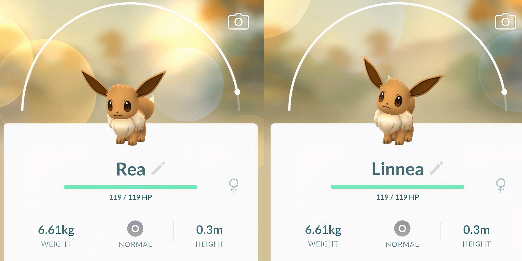 Cómo conseguir cada Eeveelution en Pokémon GO