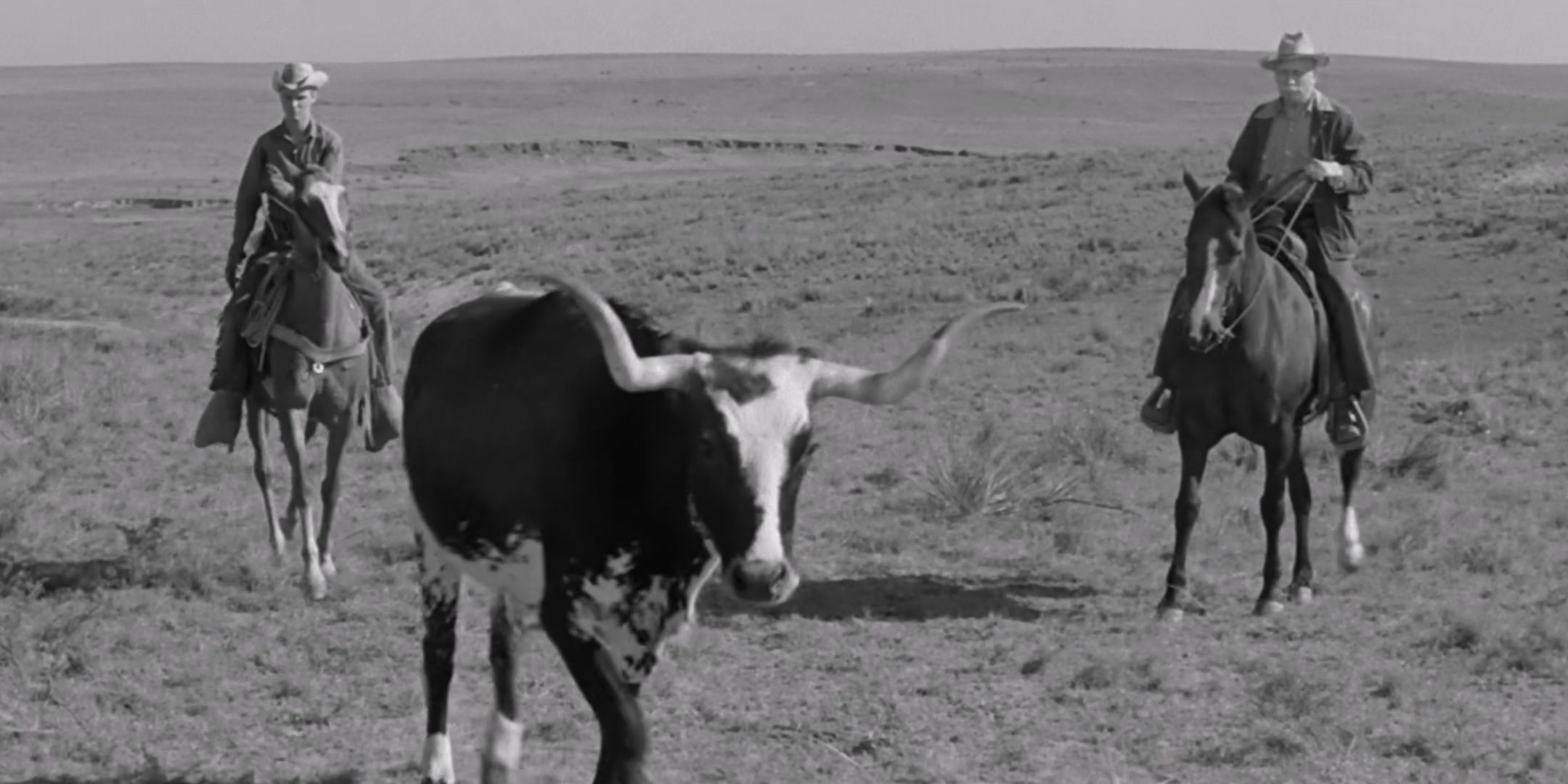 6 Years Before Butch Cassidy, Paul Newman Starred in Another Oscar-Winning Western