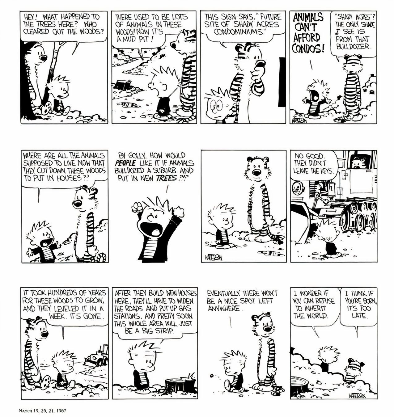 10 Best Calvin and Hobbes Comics About the Environment, Ranked