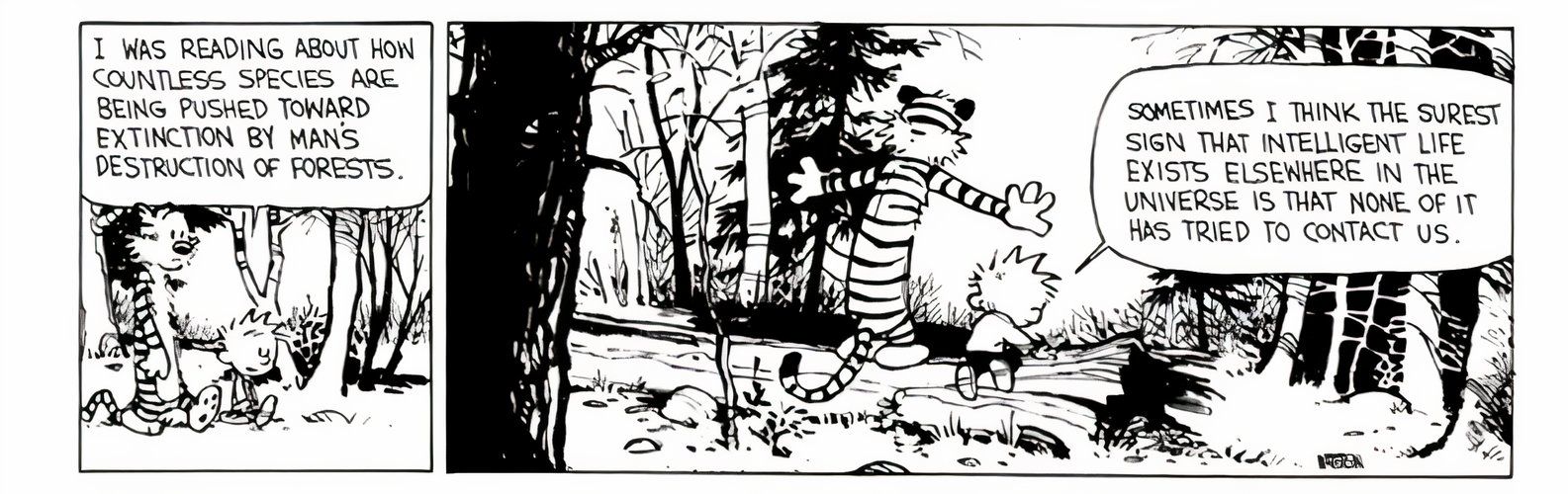 10 Best Calvin and Hobbes Comics About the Environment, Ranked