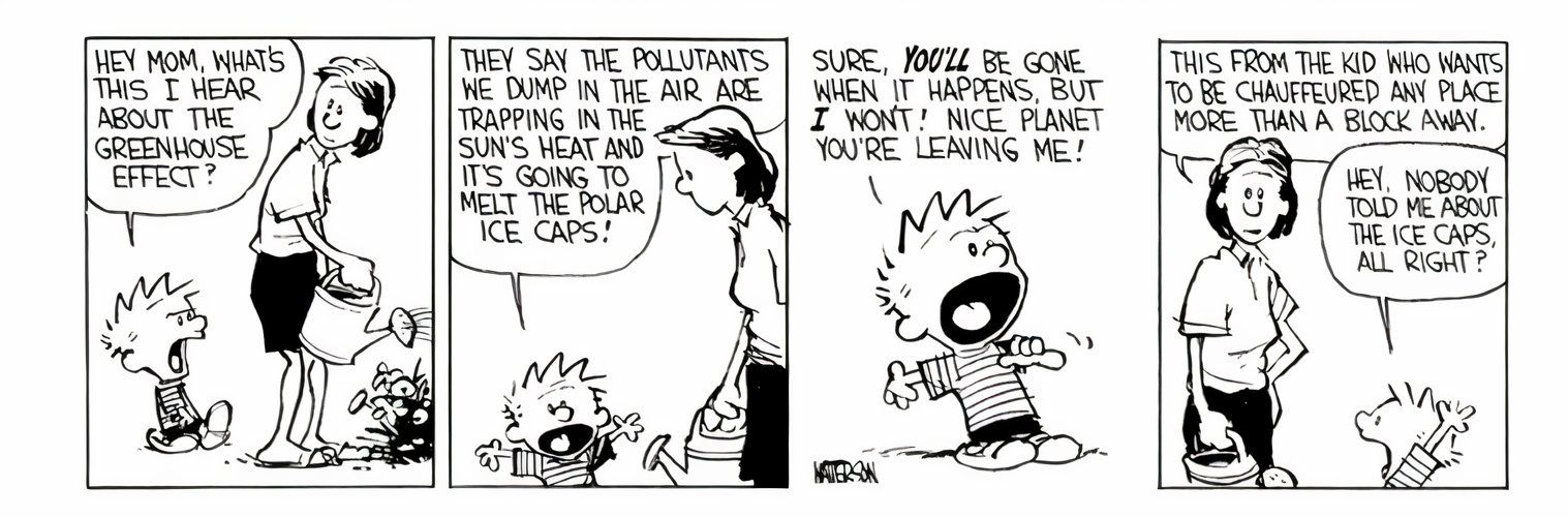 10 Best Calvin and Hobbes Comics About the Environment, Ranked