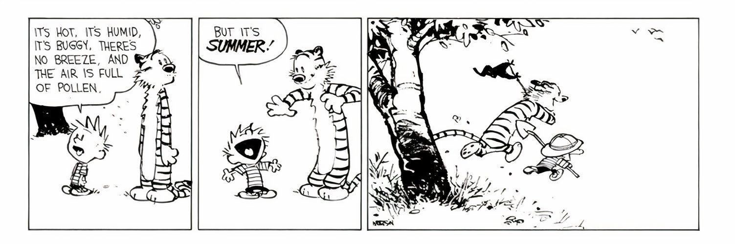 10 Best Calvin and Hobbes Comics About the Environment, Ranked