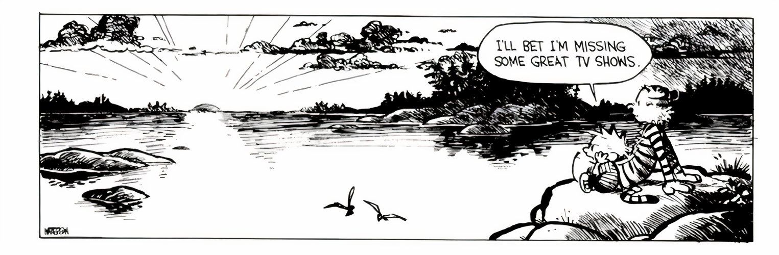 10 Best Calvin and Hobbes Comics About the Environment, Ranked