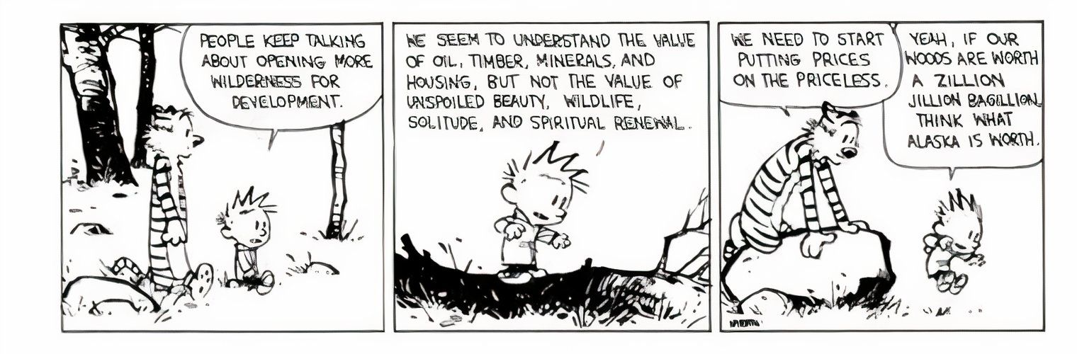 Los 10 mejores cómics de Calvin y Hobbes sobre el medio ambiente, clasificados