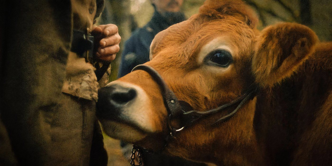 Esta película occidental moderna de hace cinco años finalmente aportó algo nuevo al género