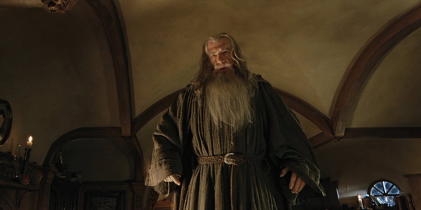 Gandalf the Grey in The Lord of the Rings The Fellowship of the Ring