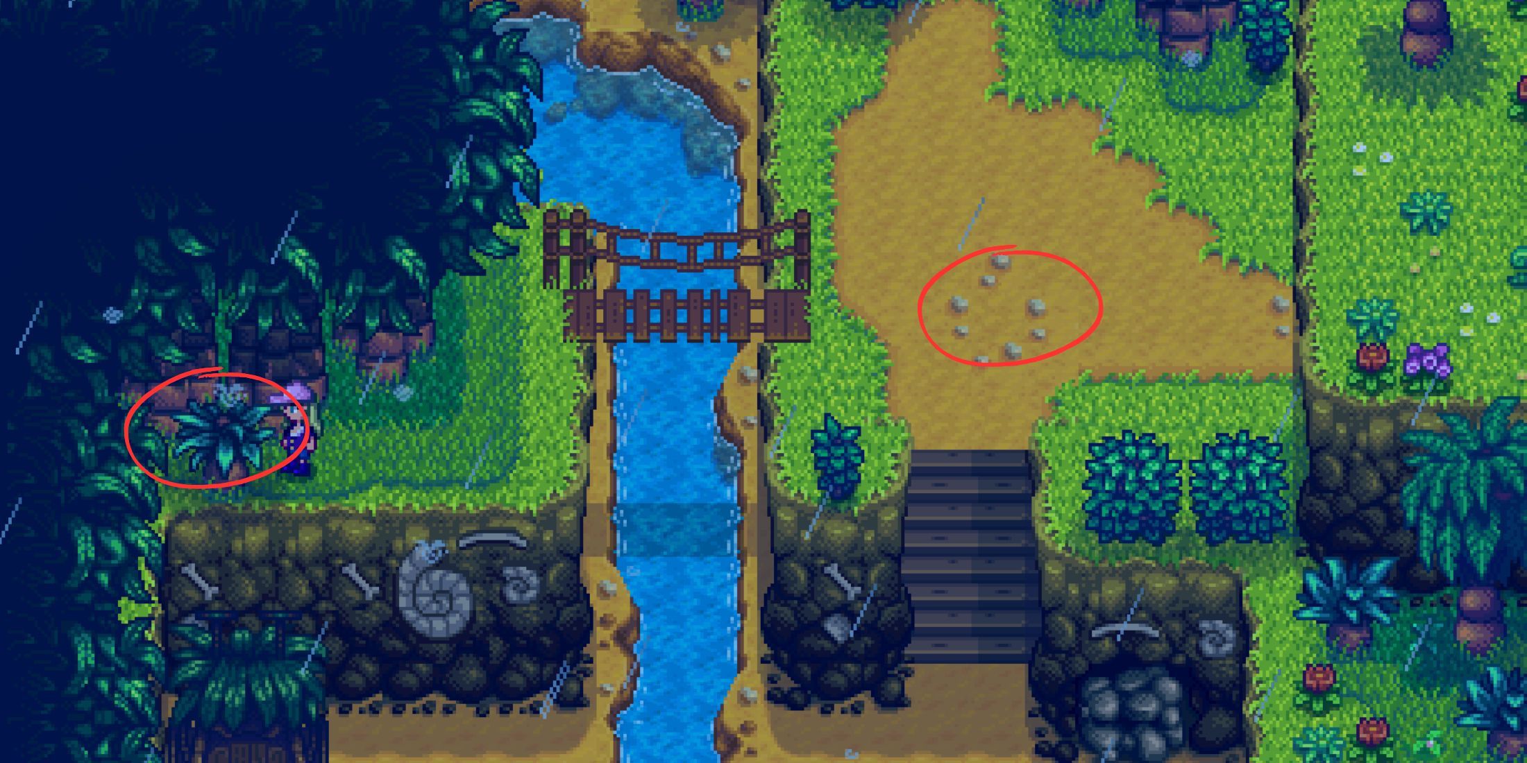 Cómo conseguir nueces doradas en Stardew Valley