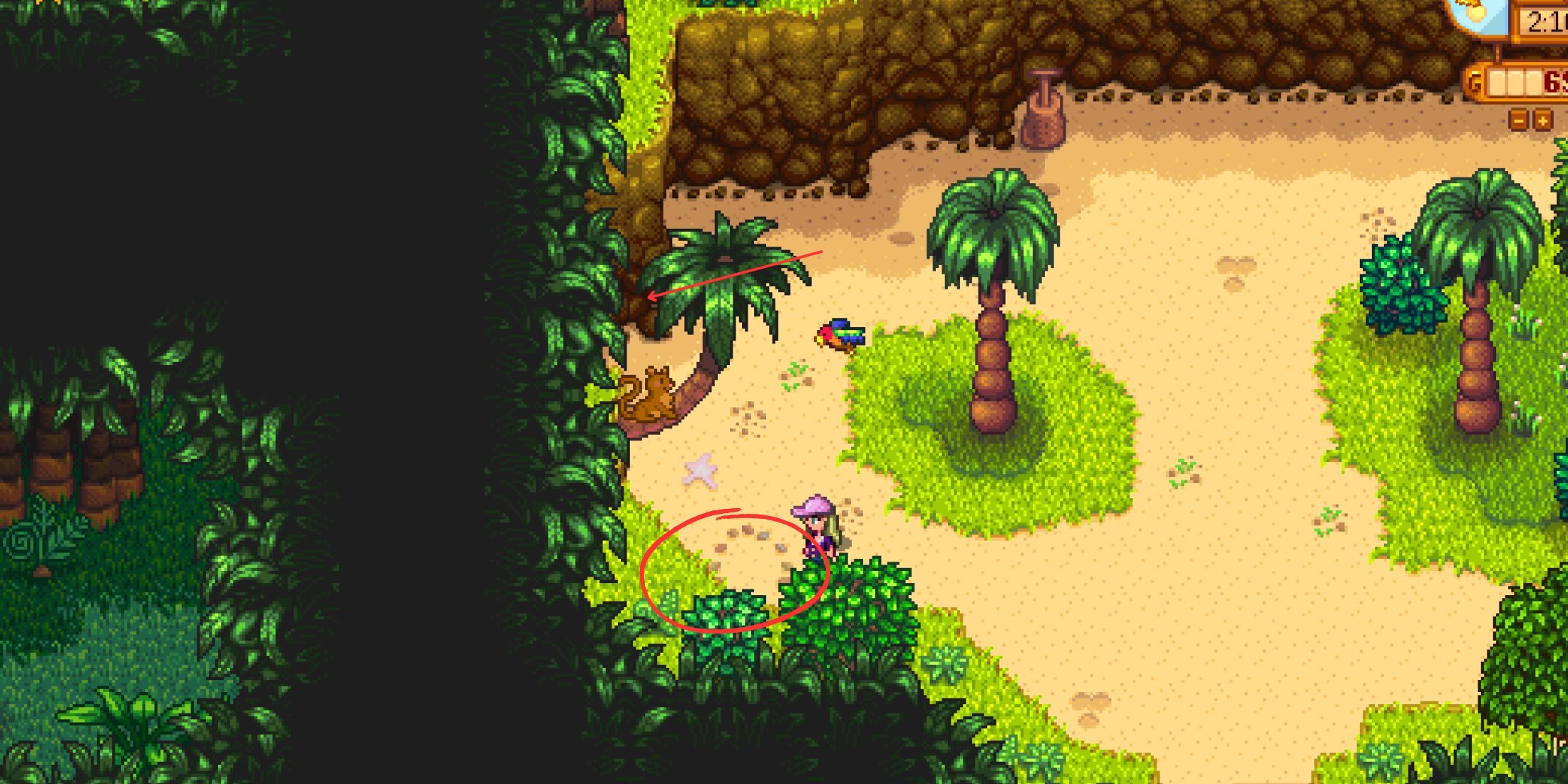 Cómo conseguir nueces doradas en Stardew Valley