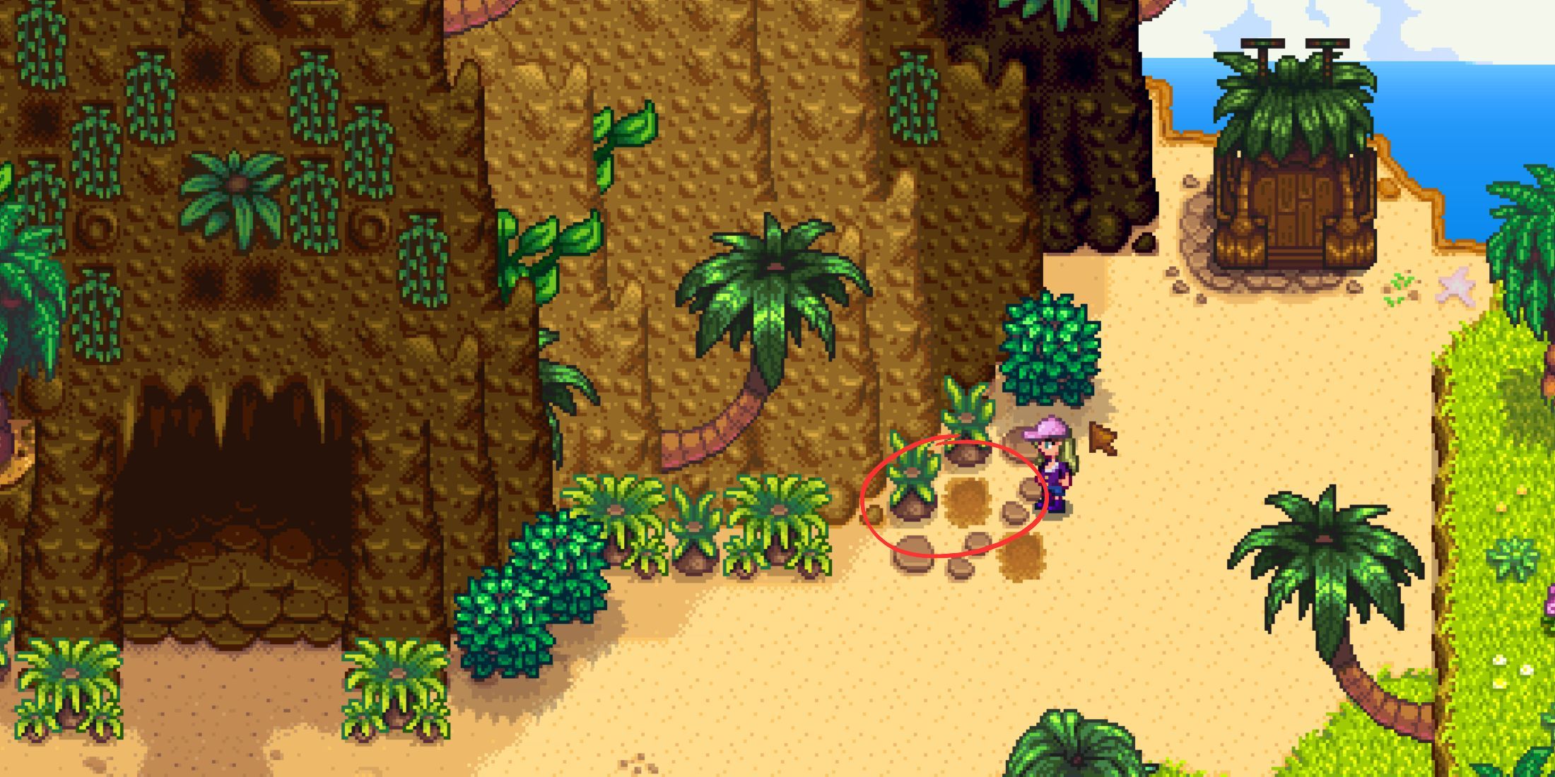 Cómo conseguir nueces doradas en Stardew Valley