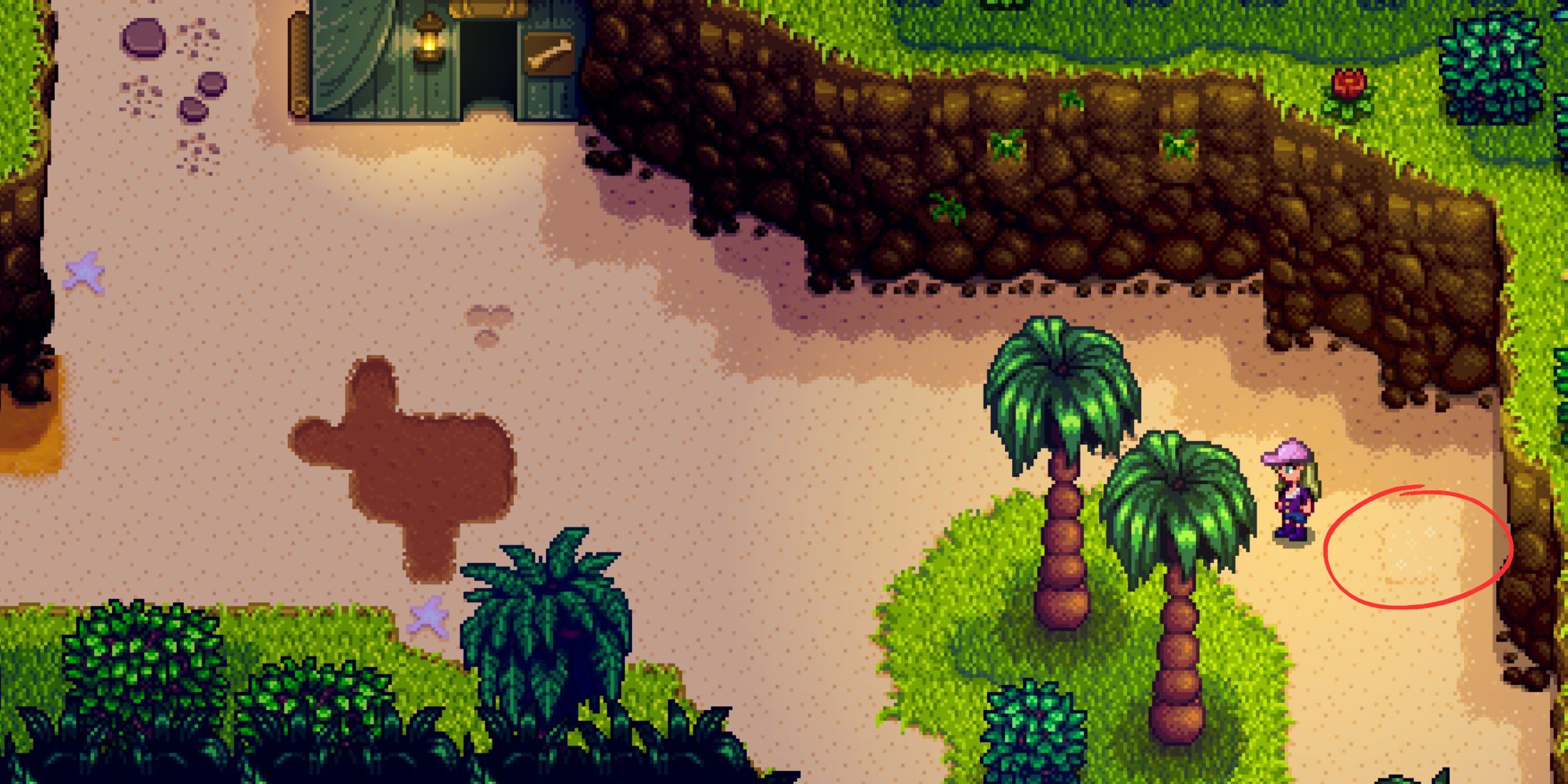 Cómo conseguir nueces doradas en Stardew Valley