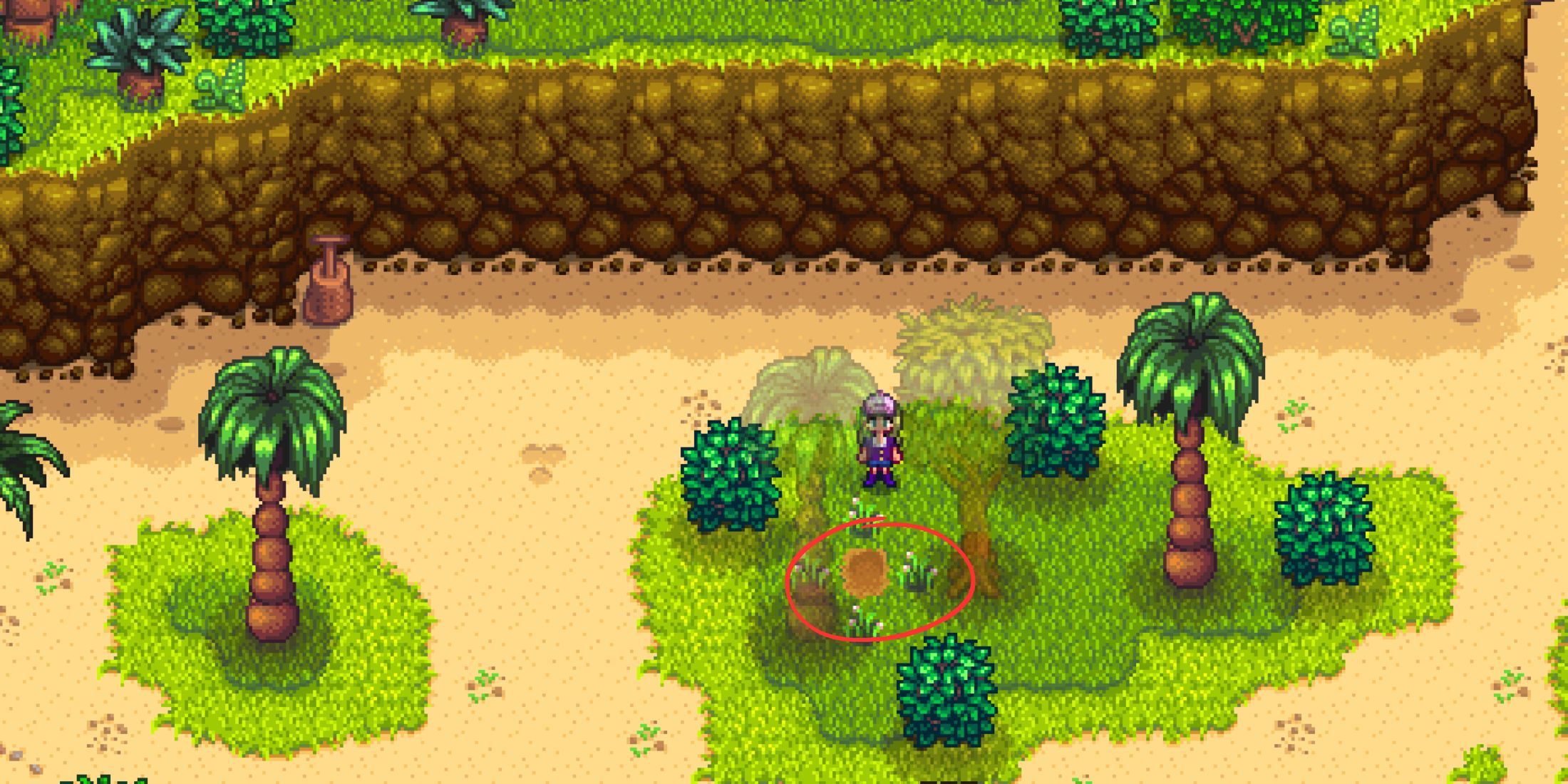 Cómo conseguir nueces doradas en Stardew Valley