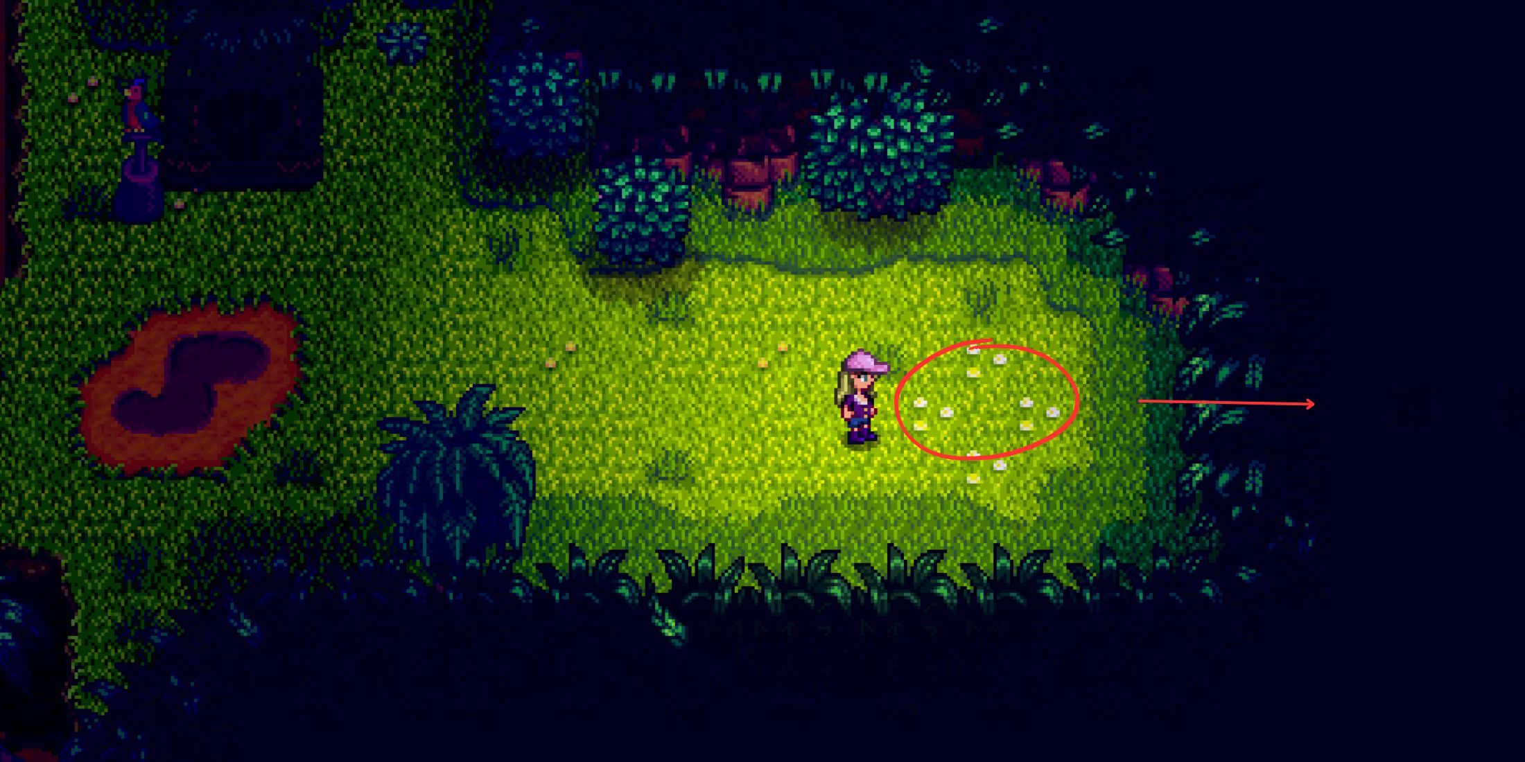 Cómo conseguir nueces doradas en Stardew Valley