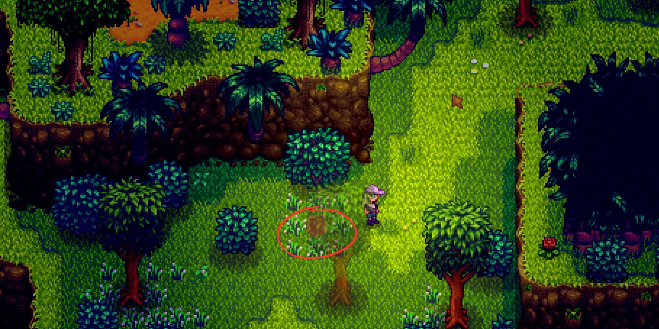 Cómo conseguir nueces doradas en Stardew Valley