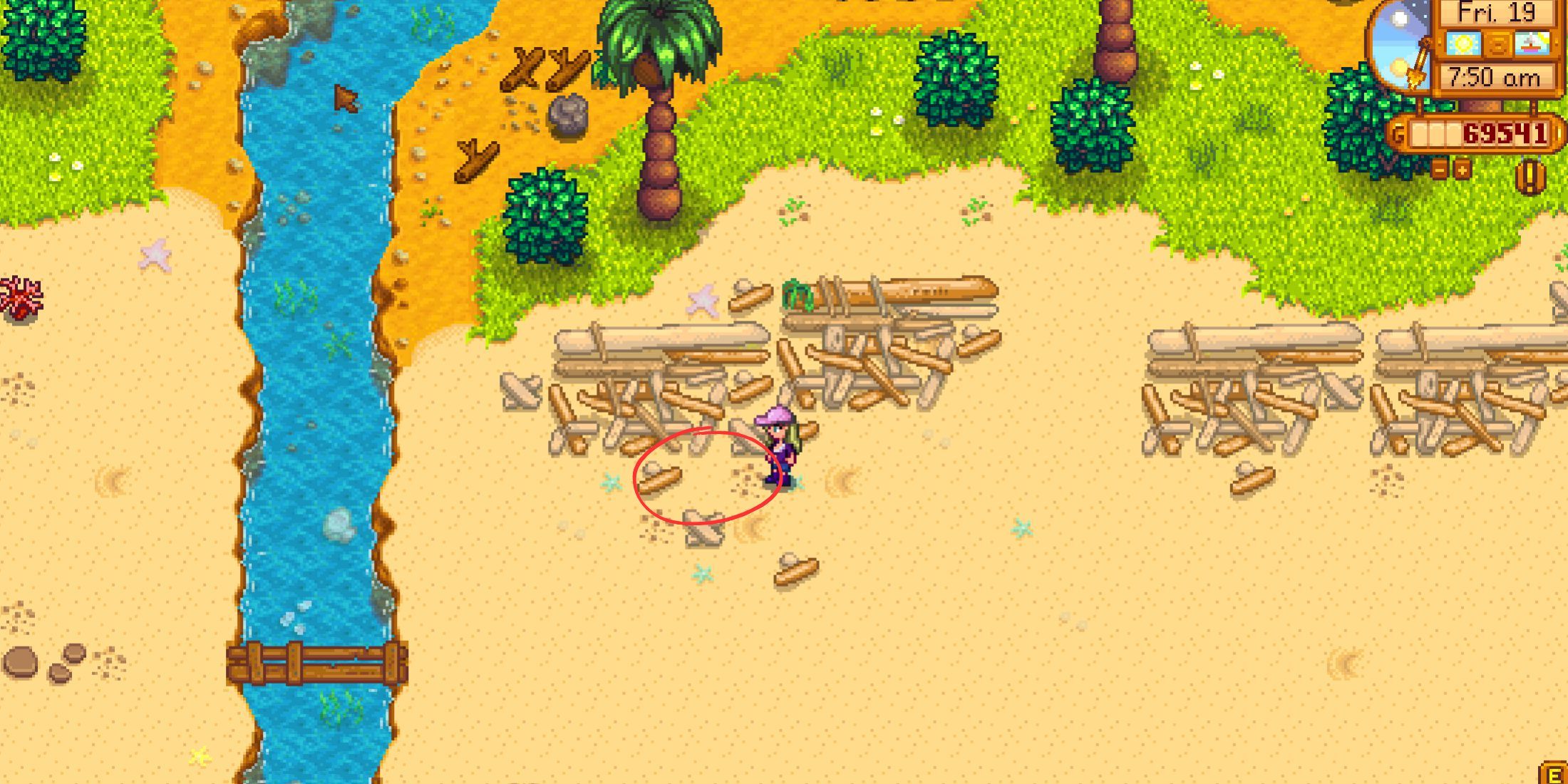 Cómo conseguir nueces doradas en Stardew Valley