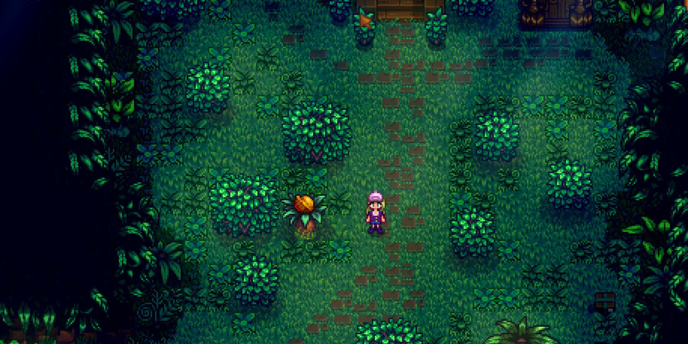 Cómo conseguir nueces doradas en Stardew Valley