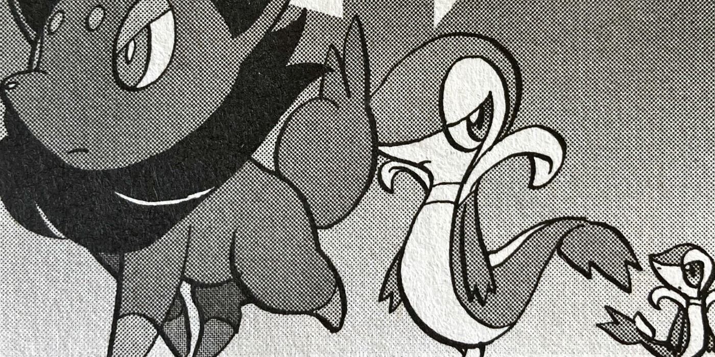 Los Pokémon más icónicos de Blanco y Negro, clasificados