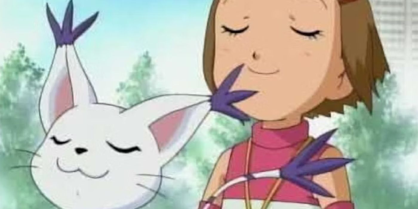 Las mejores parejas elegidas para Digimon 02, clasificadas