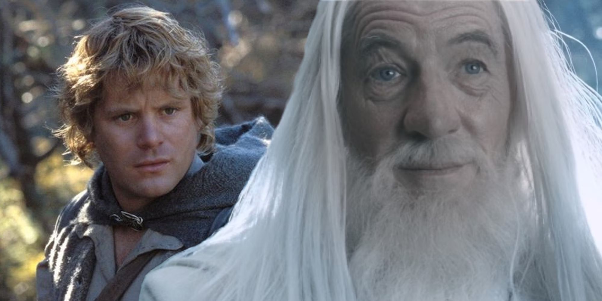 10 Best Lord of the Rings Quotes For When You Need Inspiration