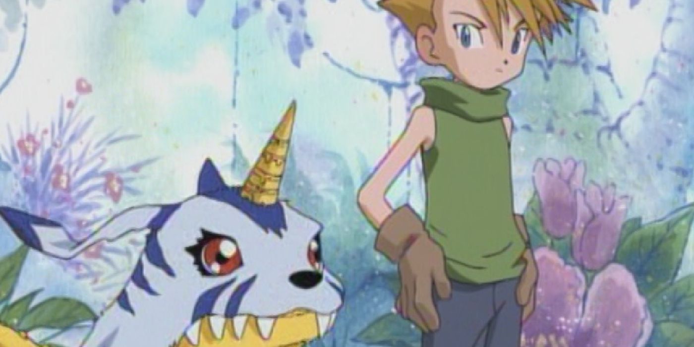 Объяснение отношений Тай и Мэттса в Digimon