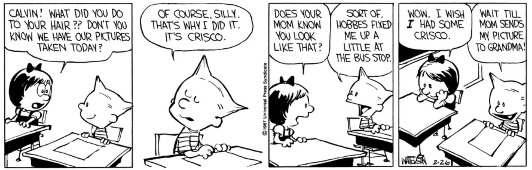 10 Best Calvin and Hobbes Comics About School, Ranked