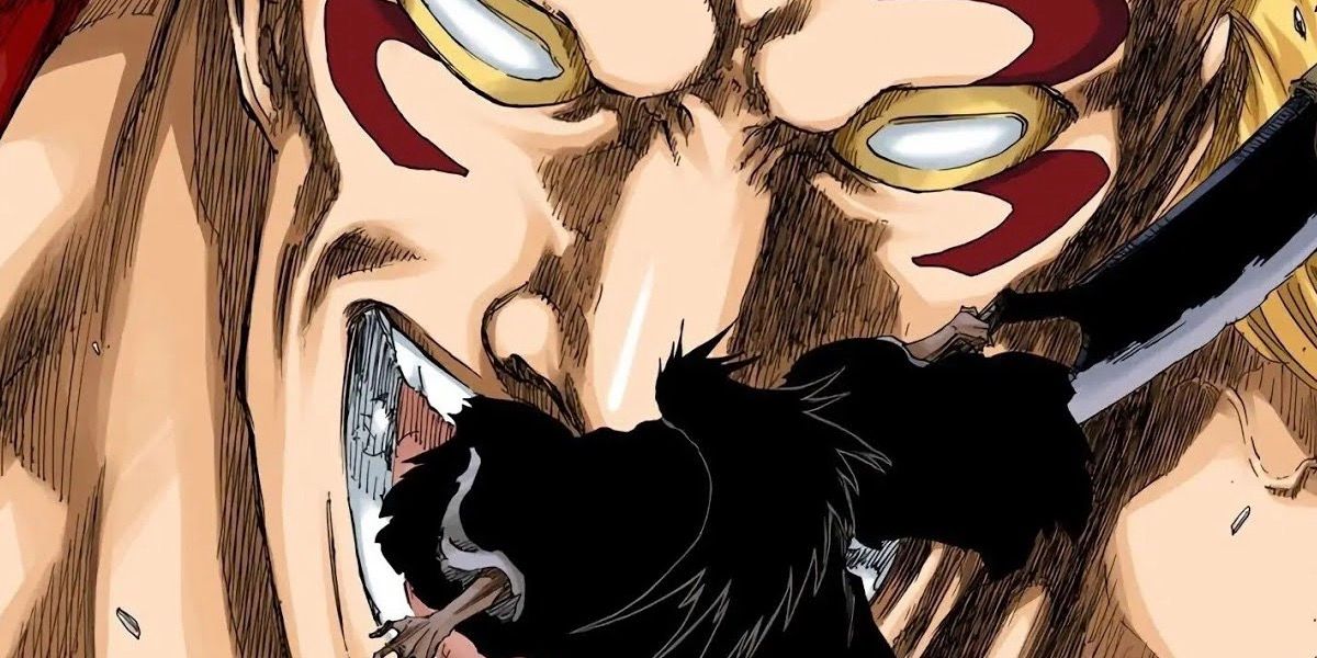 Is Bleach: Thousand-Year Blood War Part 3 The Anime's Final Cour?