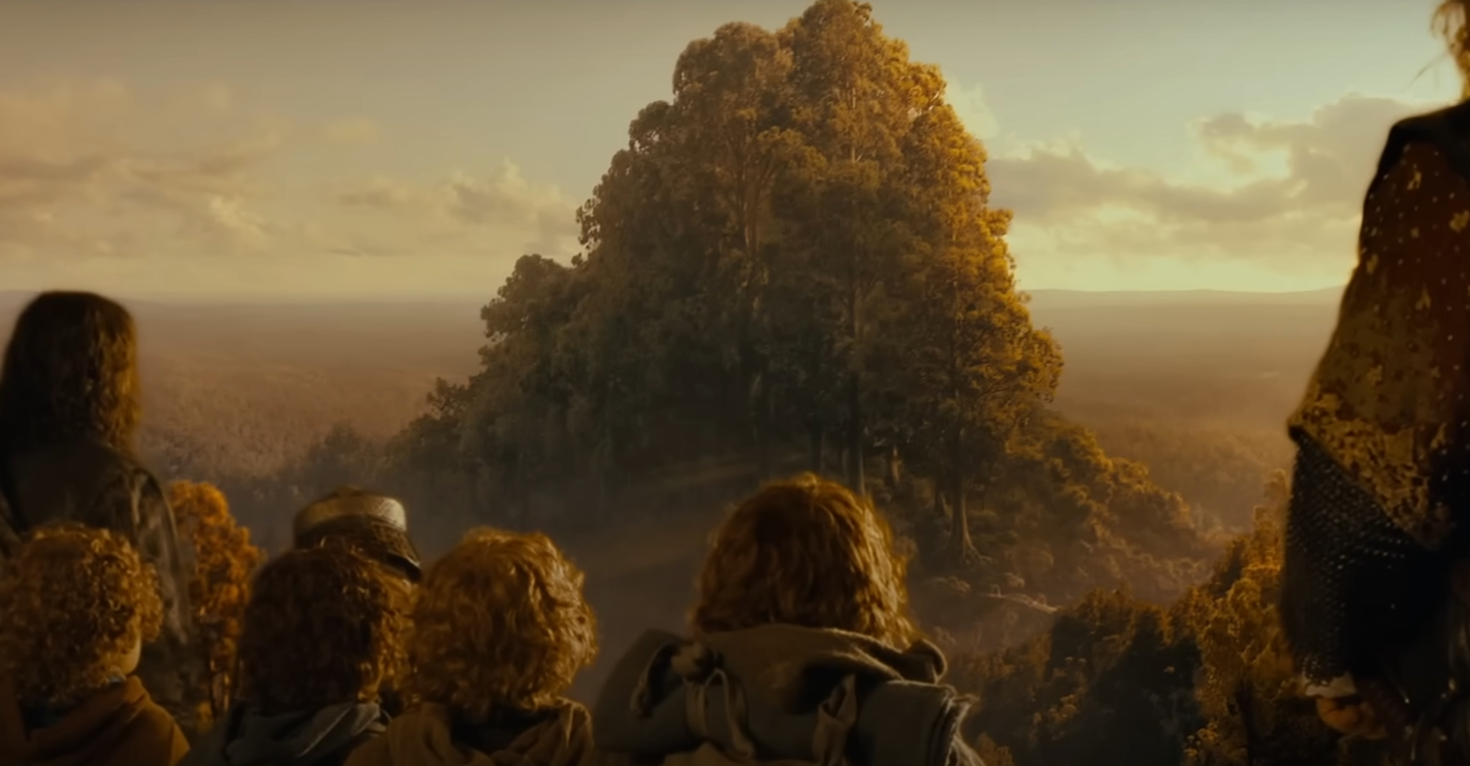 La Comunidad mira a Caras Galadhon en Lothlorien en La Comunidad del Anillo.