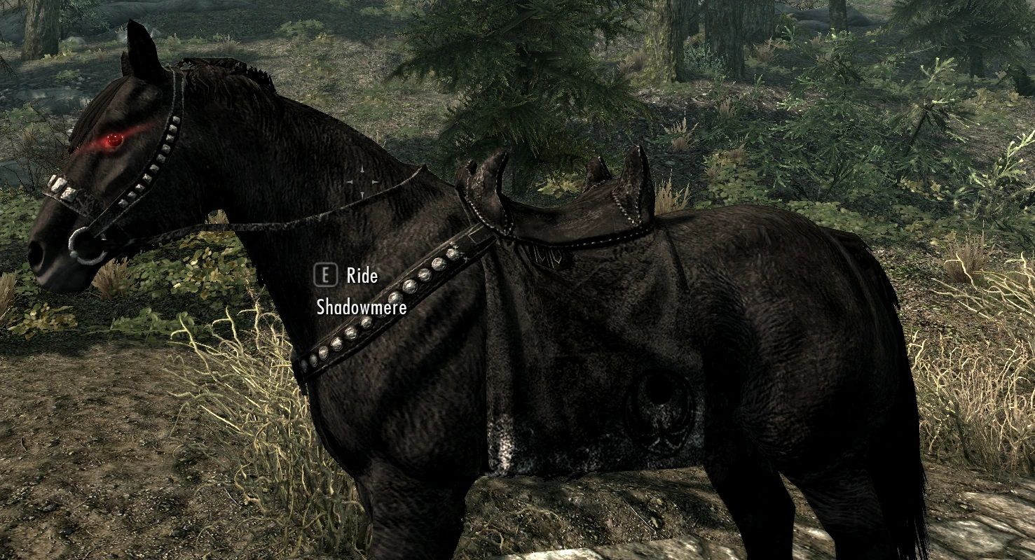 Best Games Where You Can Ride a Horse