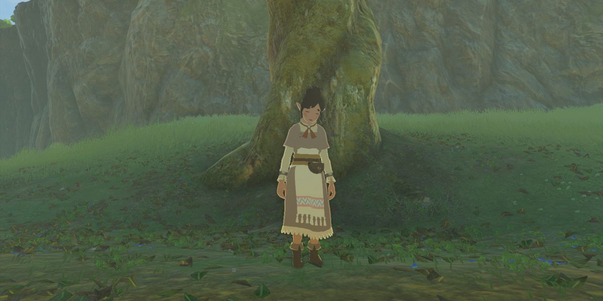 Zelda TOTK: Lucky Clover Gazette Quests Guide