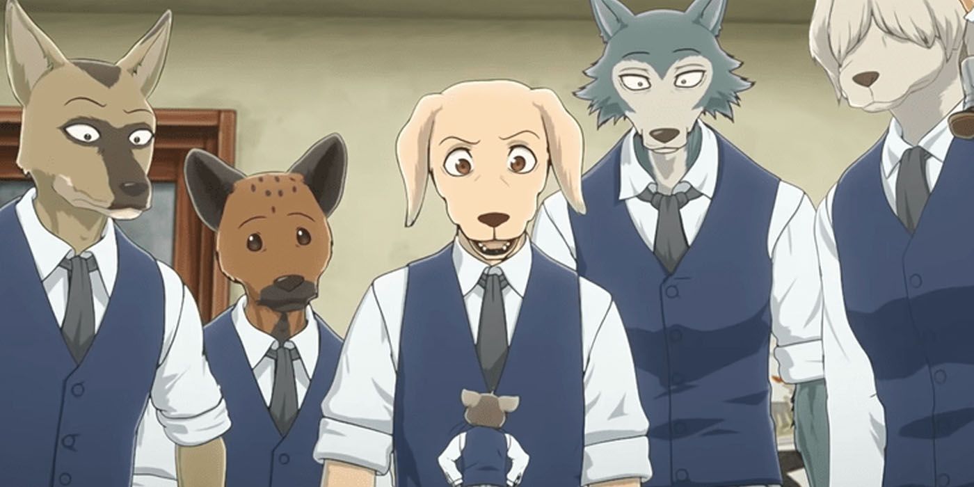 Everything We Know About Beastars Season 3 (So Far)