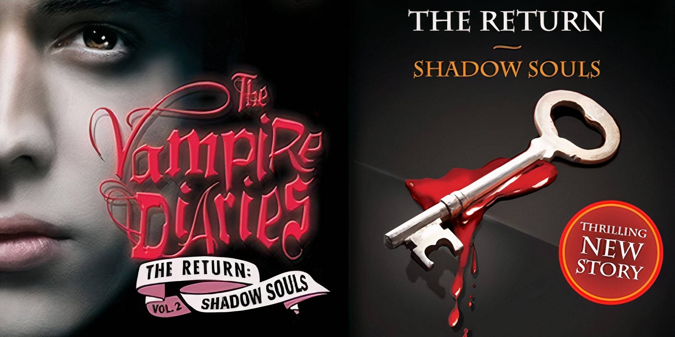The Vampire Diaries: The Official Unofficial Guide – Hardcover Book + FREE Poster – Brand New