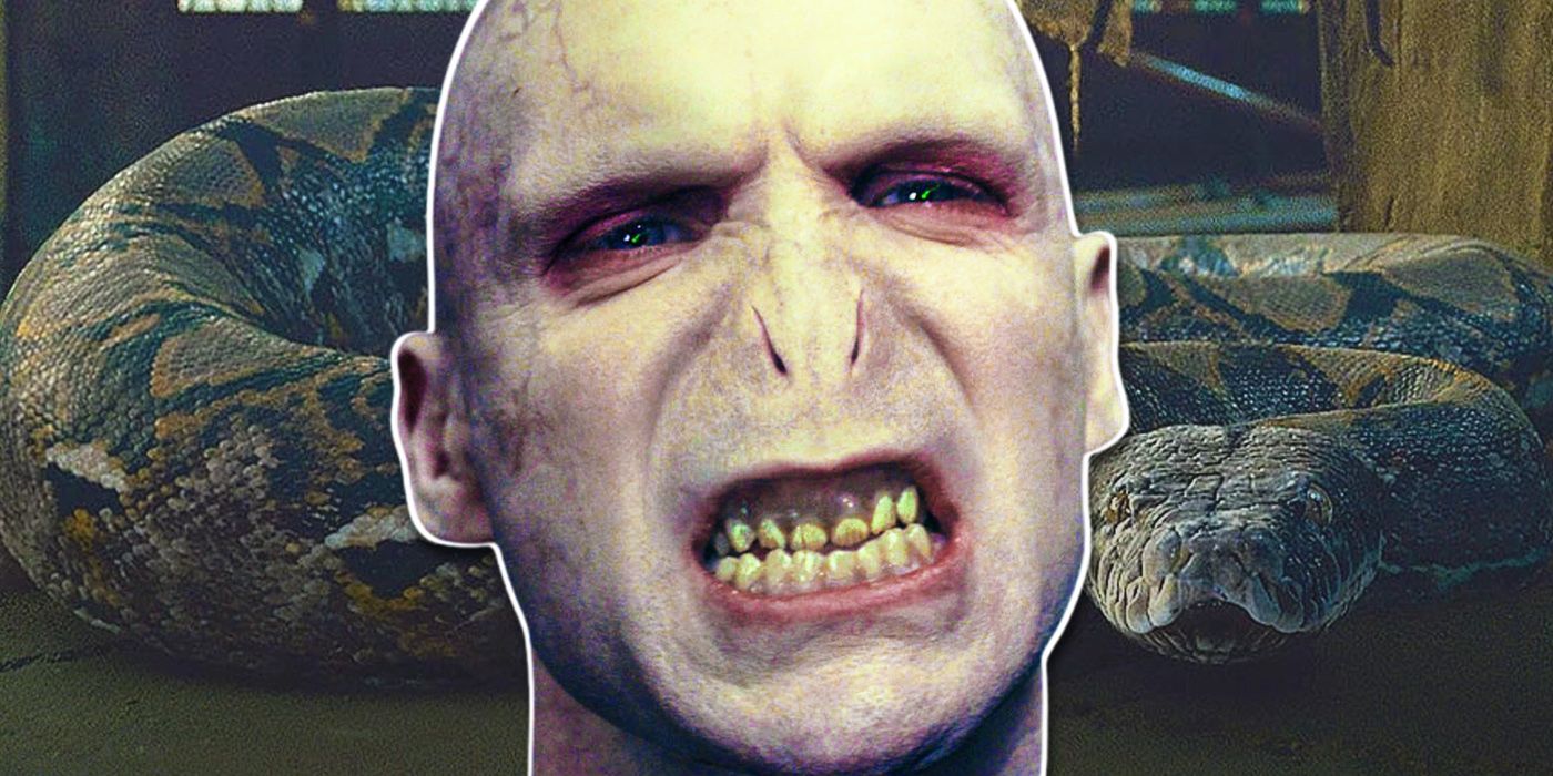 Los fanáticos de Harry Potter piensan que el actor Vecna ​​de Stranger Things es Voldemort en el reinicio: ¿tienen razón?