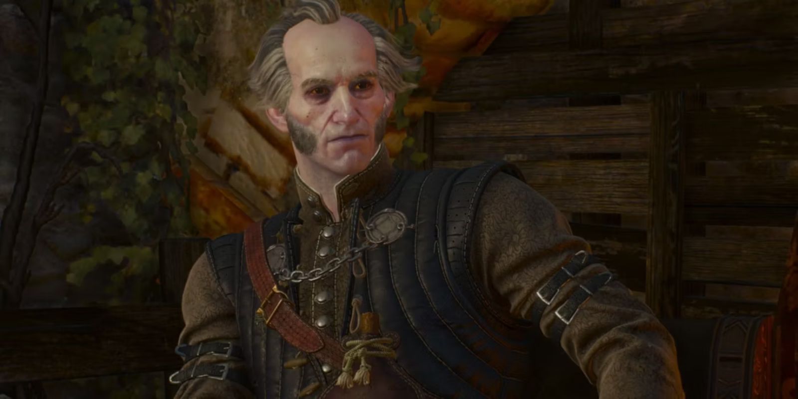 Los 10 mejores personajes de Witcher 3 (que no son Geralt o Ciri)