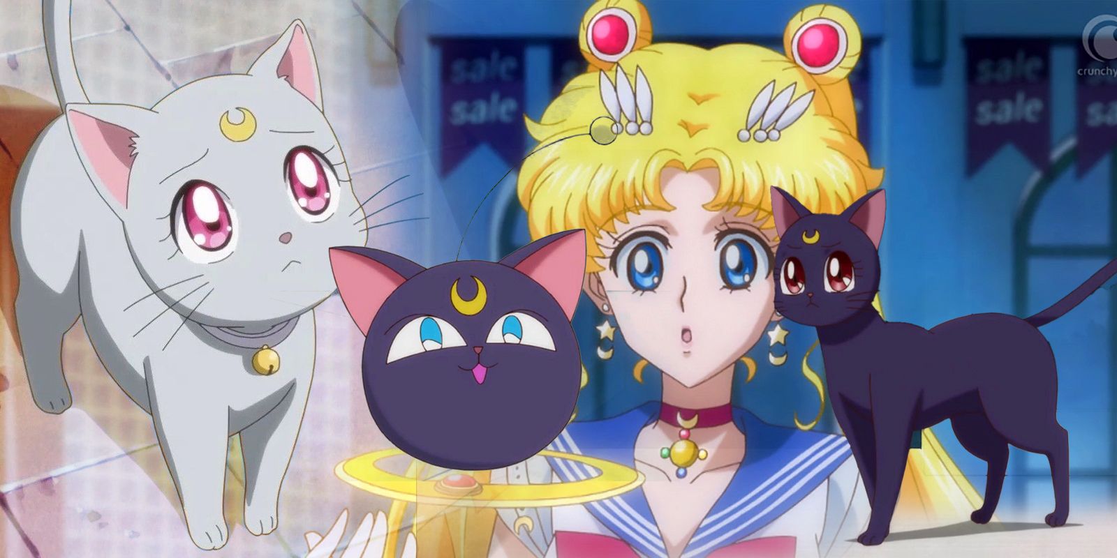 Best Luna Episodes in Sailor Moon Crystal, Ranked