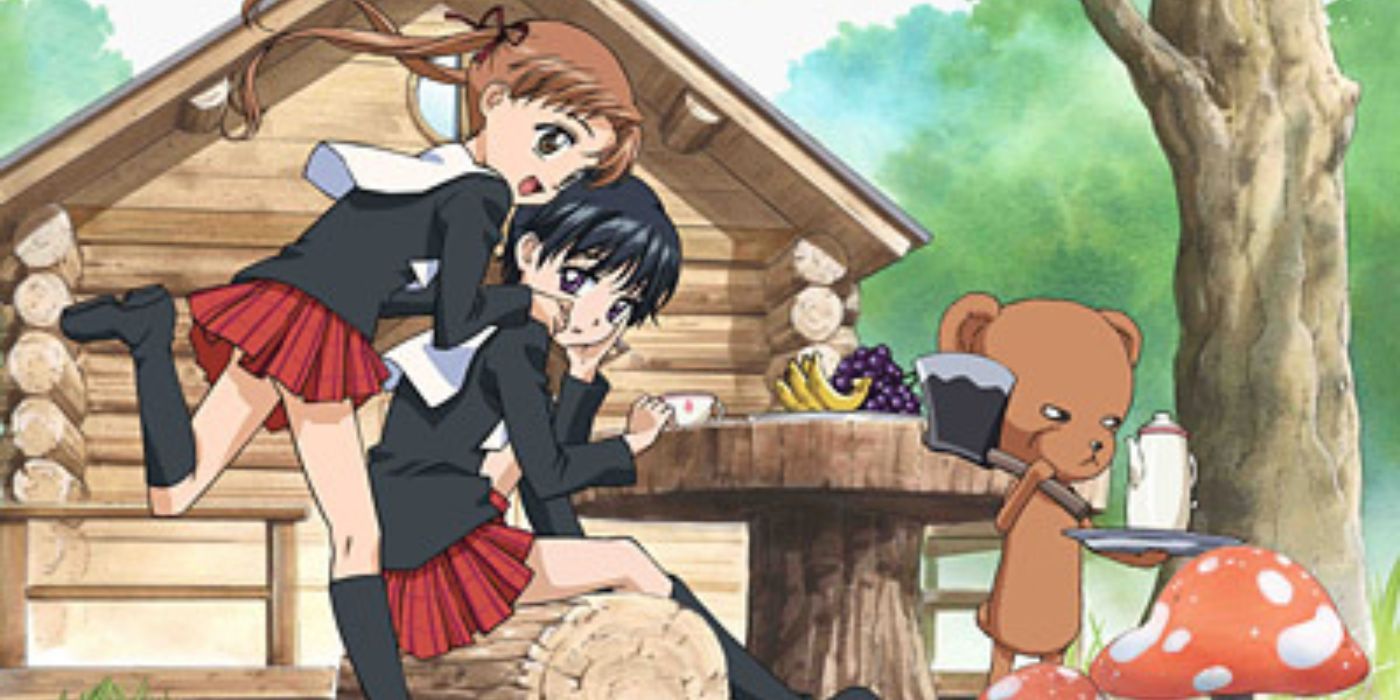 15 Forgotten Shojo Anime That Should've Been Instant Classics