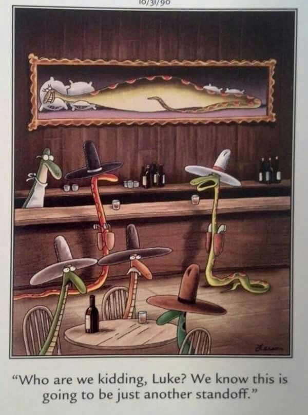 10 Funniest The Far Side Comics Featuring Snakes, Ranked