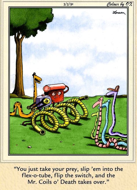 10 Funniest The Far Side Comics Featuring Snakes, Ranked