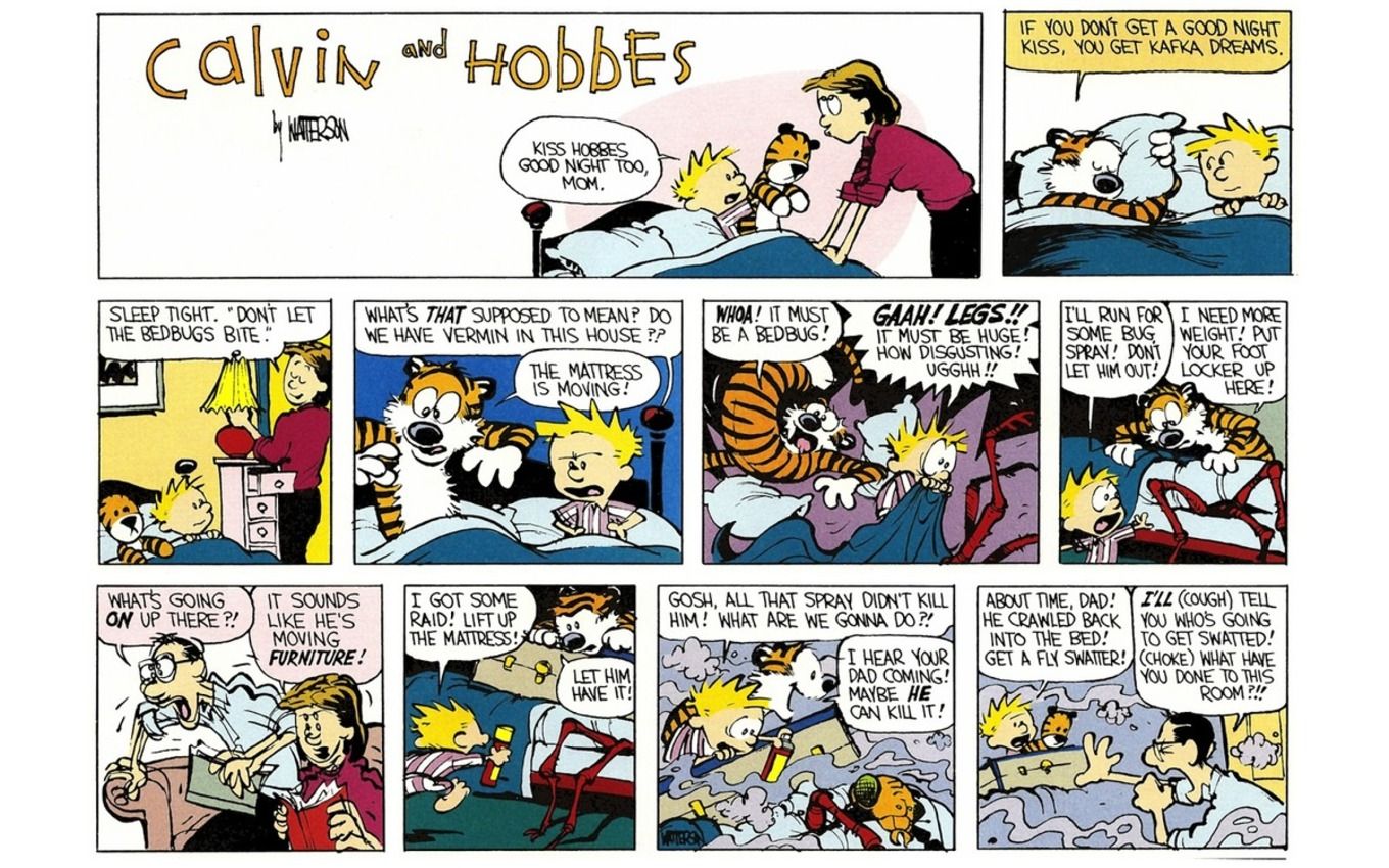 10 Creepiest Calvin and Hobbes Comic Strips, Ranked