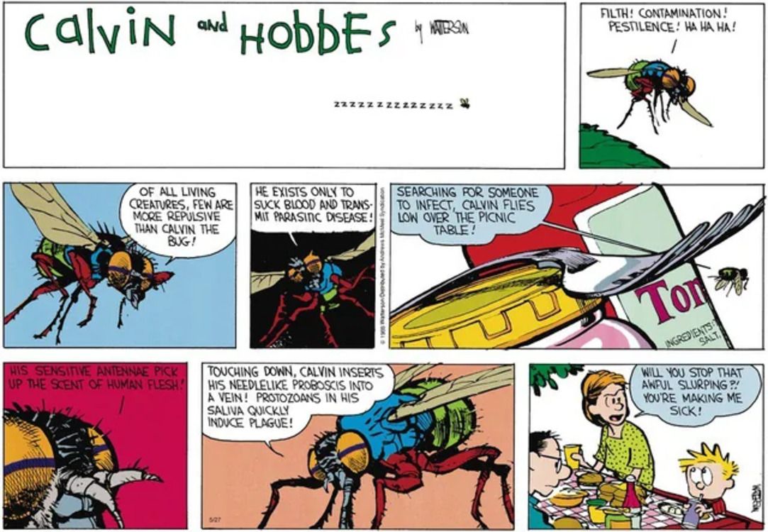 Las 10 tiras cómicas de Calvin y Hobbes más espeluznantes, clasificadas