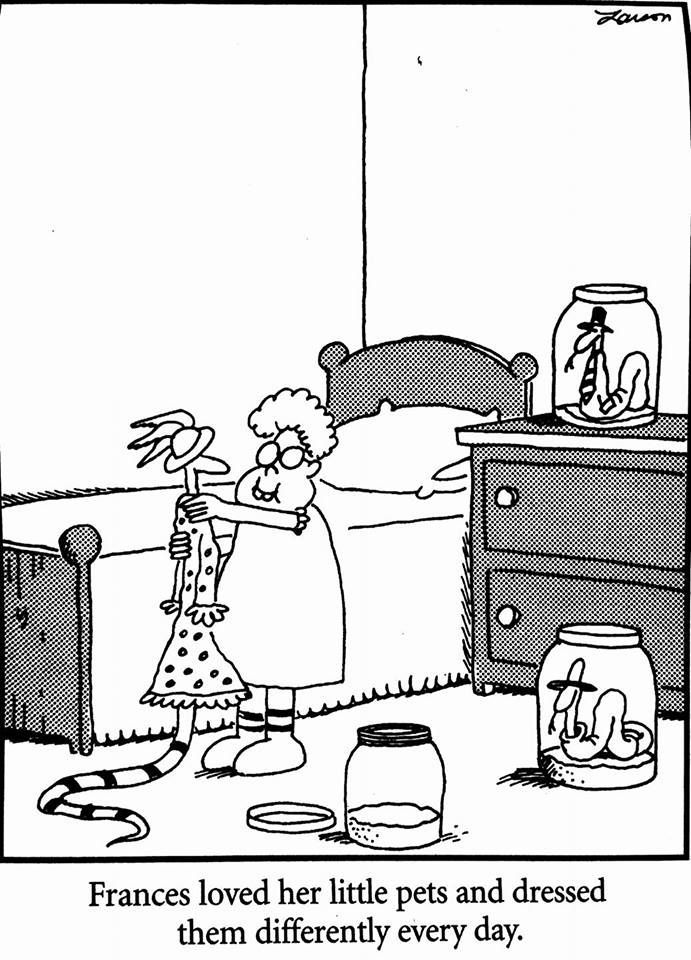 10 Funniest The Far Side Comics Featuring Snakes, Ranked