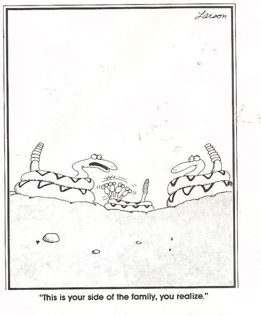 Los 10 cómics más divertidos de The Far Side con serpientes, clasificados