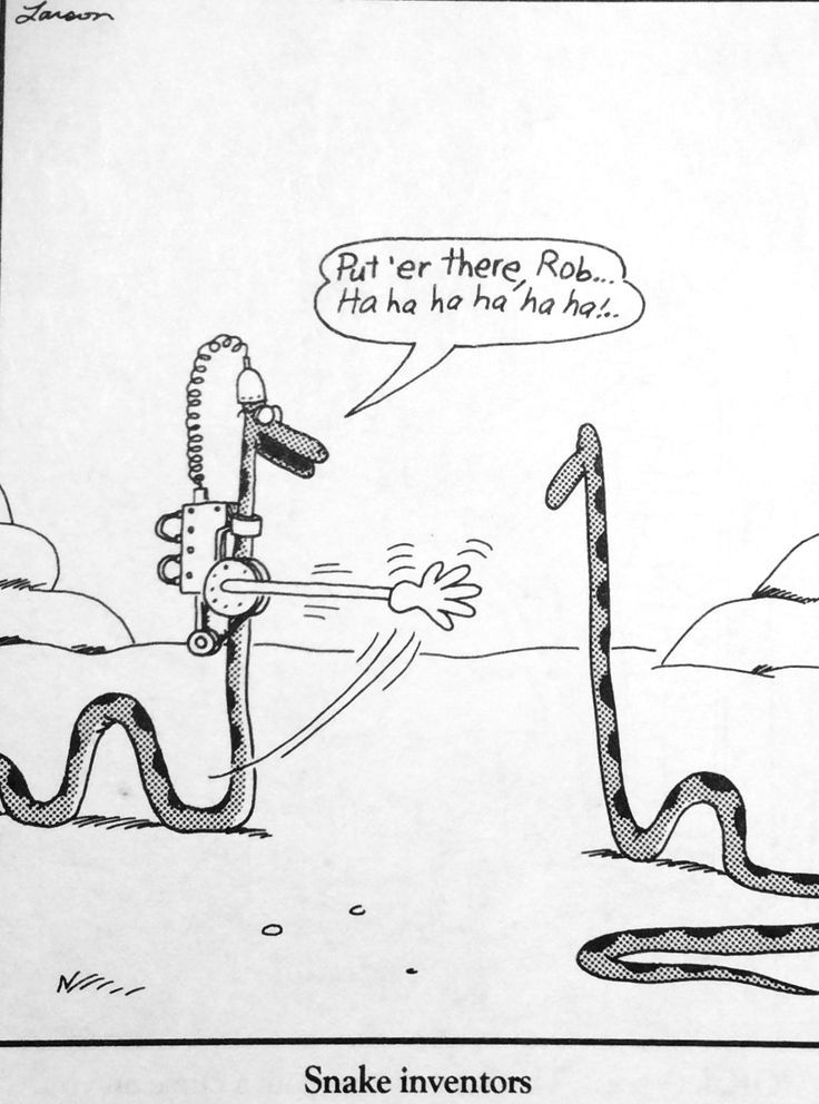 10 Funniest The Far Side Comics Featuring Snakes, Ranked