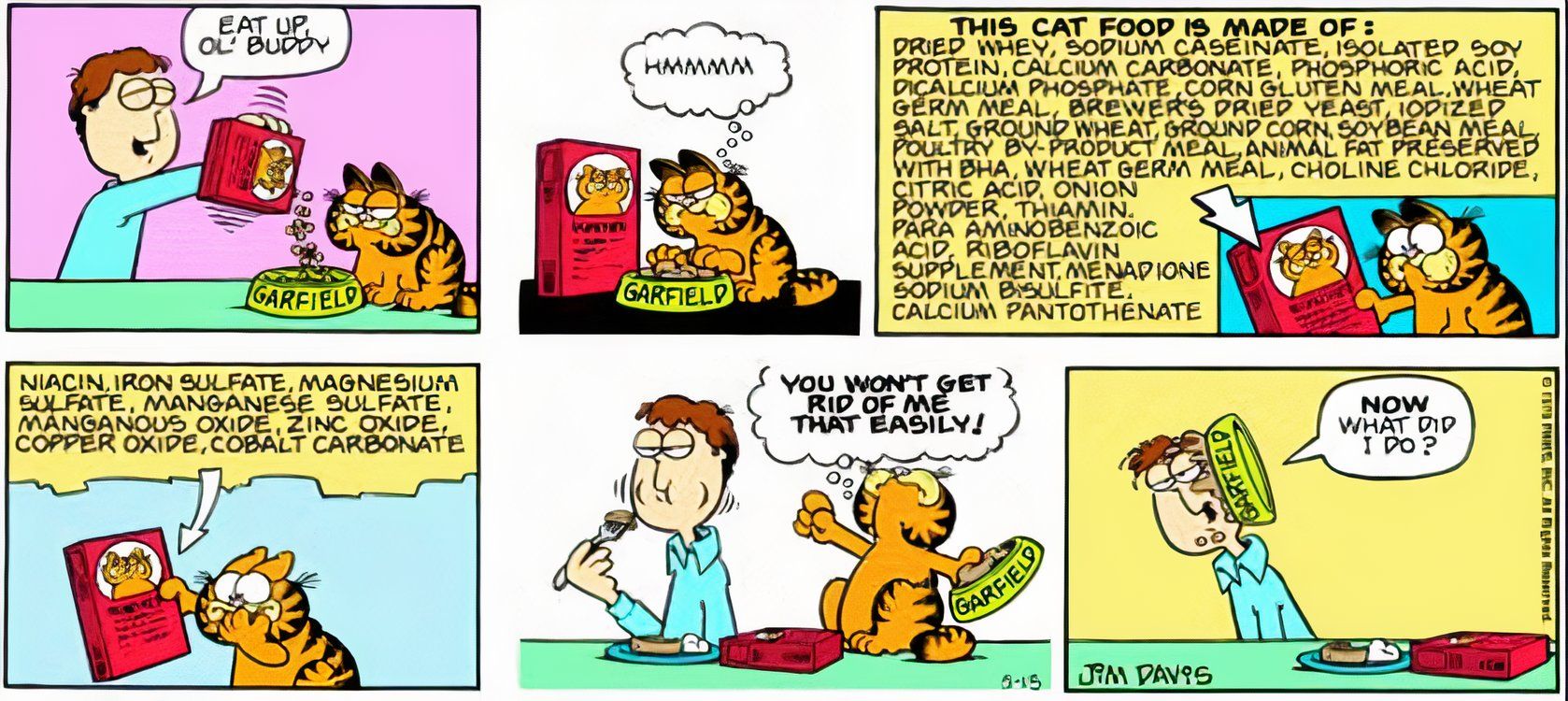 10 chistes de Garfield que solo recibimos cuando somos adultos