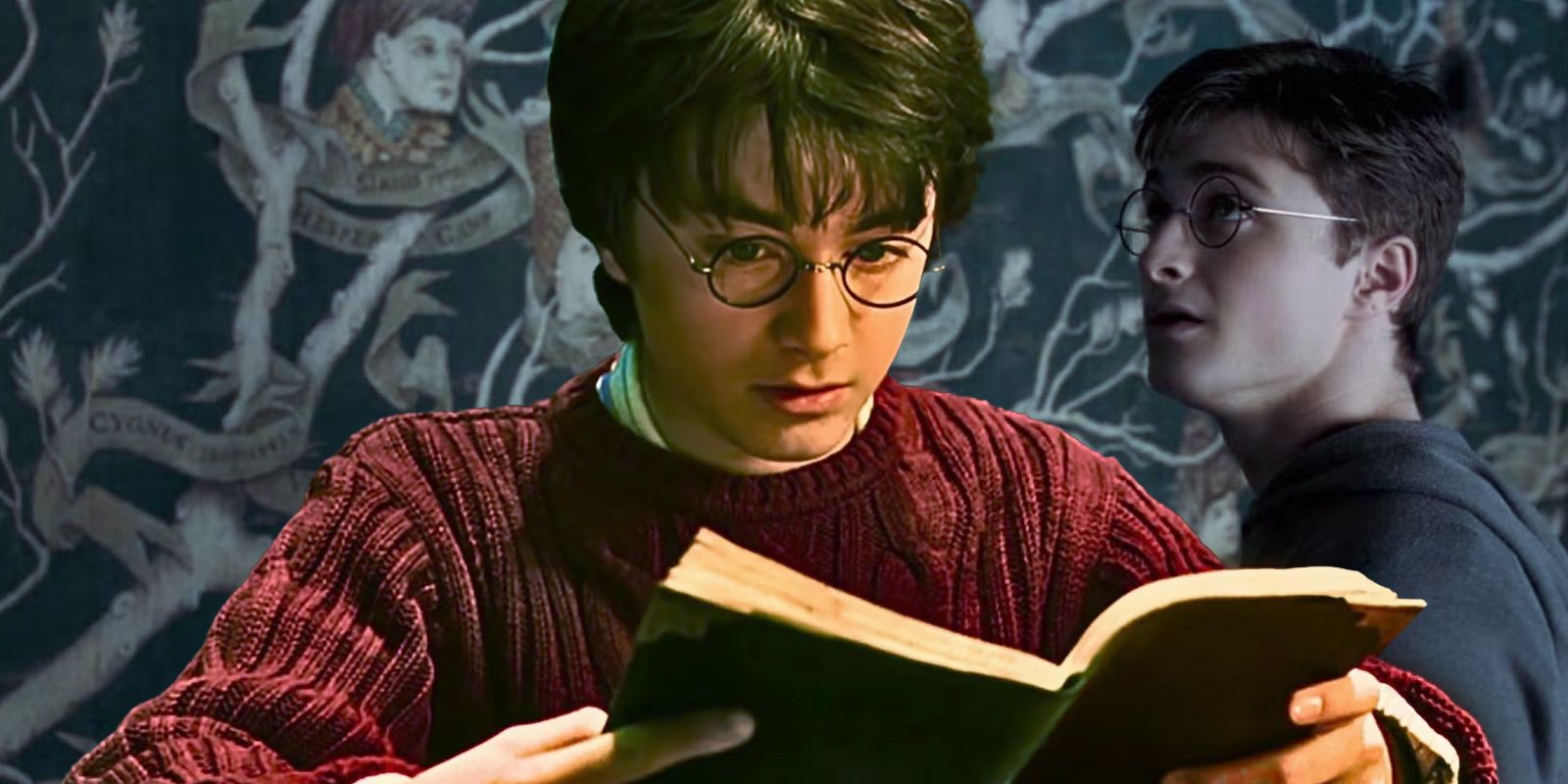 Harry Potters Complete Family Tree, Explained