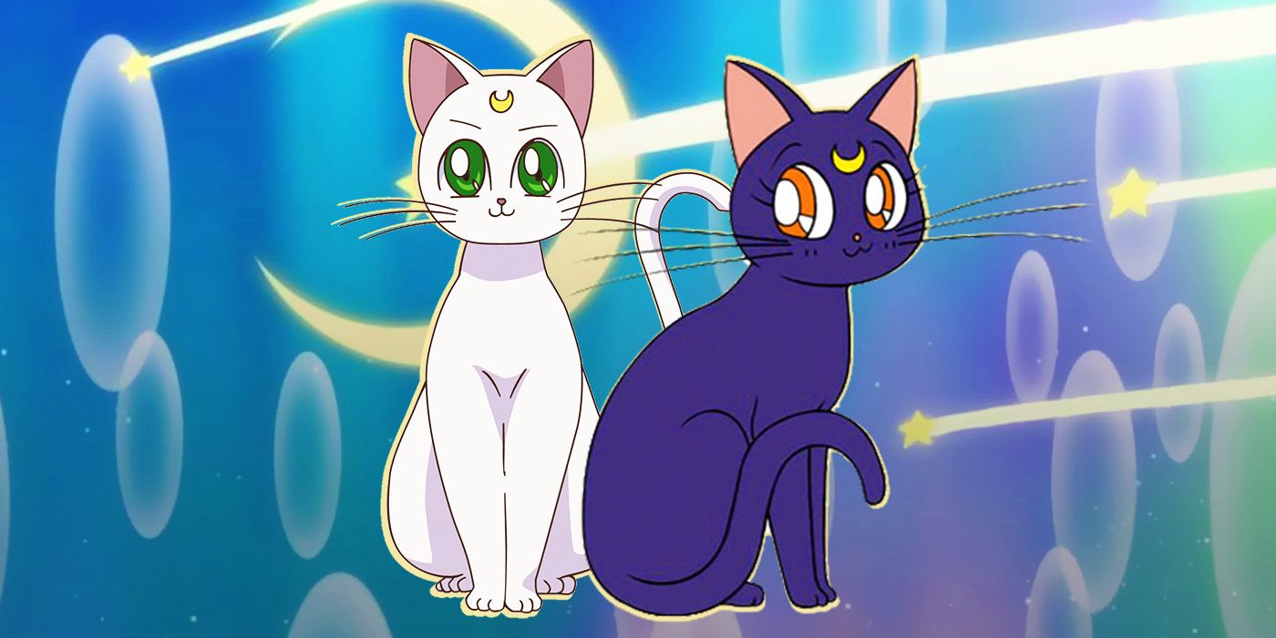 Luna Vs. Artemis: Which Sailor Moon Cat Is the Better Mentor?