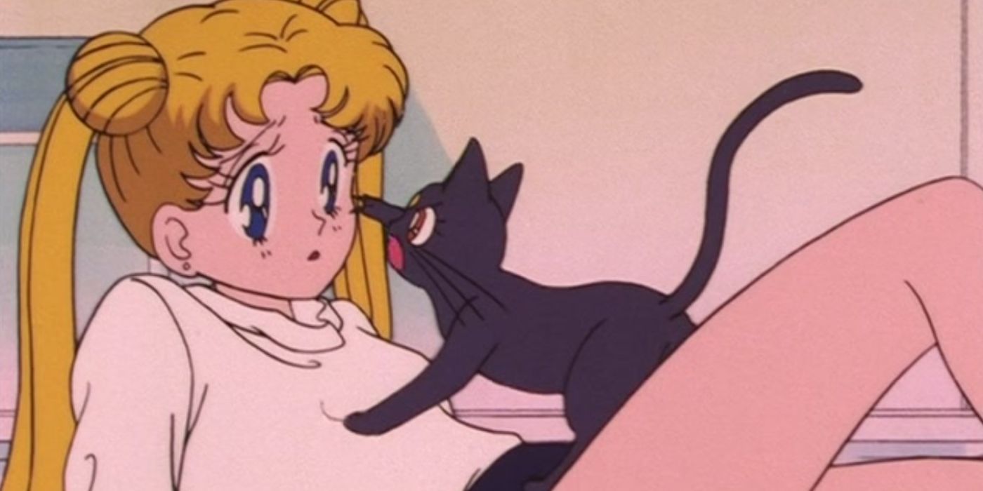 Luna lecturing Usagi in a gym outfit in Sailor Moon.