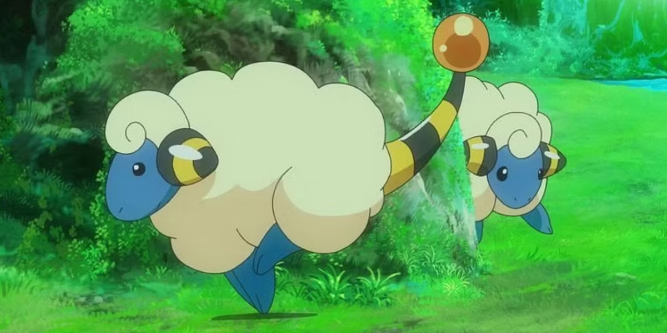 Mareep persigue una roca cubierta de musgo en el bosque en Pokémon