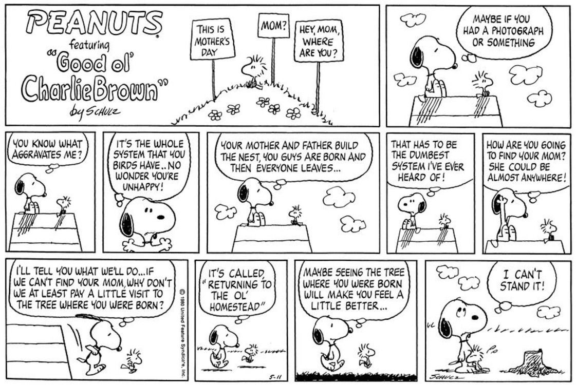 10 Most Morbid Peanuts Comic Strips, Ranked