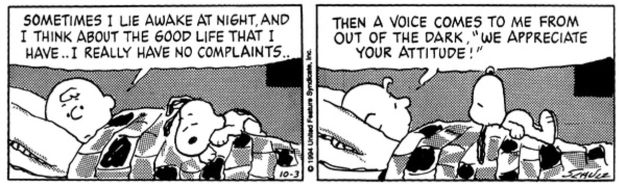 10 Weirdest Peanuts Comics, Ranked